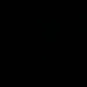 Meet your Posher, Mallory